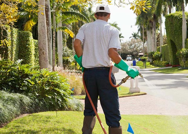 About Clarendon NY Pest Control